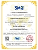 중국 Dongguan Tai Fu Machinery co., LTD 인증